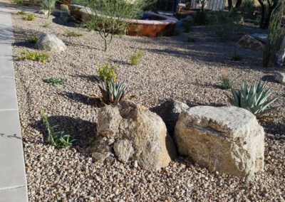 new landscaping completed at college of southern nevada