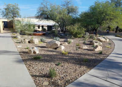 botanical garden landscaping services for the college of southern nevada