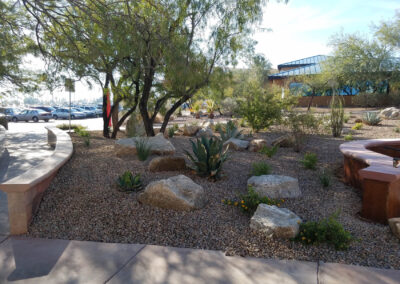 college of southern Nevada botanical gardens landscaping