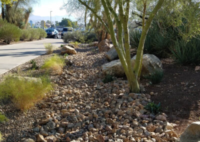 landscaping services for college campus college of southern nevada