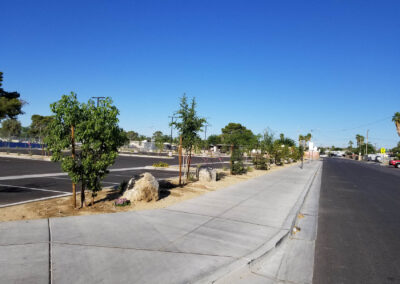 roadside row of nursery trees and decorative rock outside of ullom elementary school in las vegas nevada