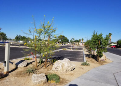 parking lot of ullom elementary school with flowering young trees and decorative rock landscaping