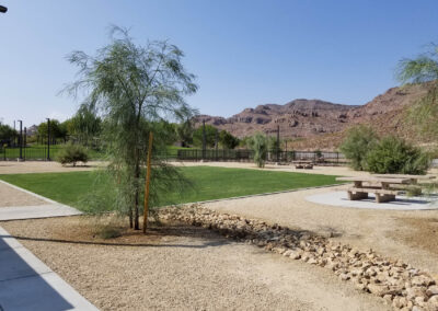 new landscaping and rock drainage in dog park with picnic area in las vegas