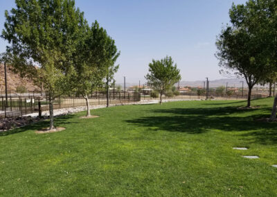 new turf outside dog park at clark county Nevada fire station 85