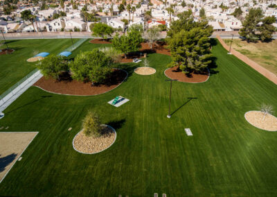 woofter family dog park in las vegas Nevada from overhead with new trees