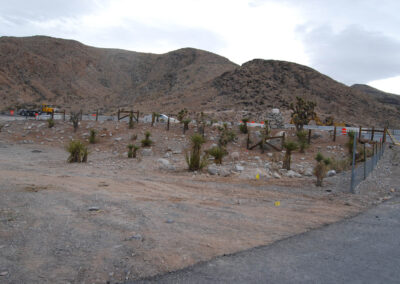 landscaping for native desert plants at late night trailhead in nevada