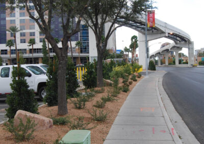 landscaping for las vegas public schools