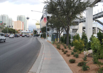 roadside landscaping streetscapes las vegas nevada