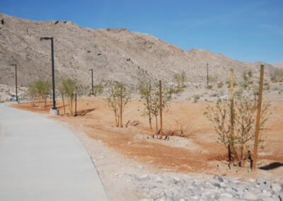 walking path landscaping with new nursery trees and shrubbery with drainage system Lone Mountain Equestrian Park