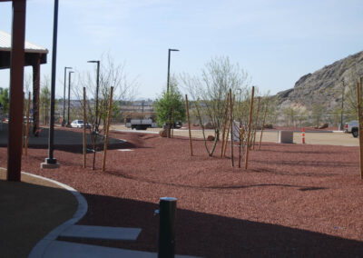 Lone Mountain Equestrian Park in las vegas mountains with new saplings