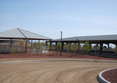 multiple nursery saplings around horse riding path at lone mountain park in las vegas nevada