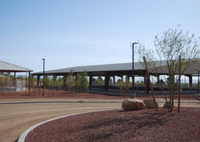 horse riding path with sapling trees at lone mountain park in nevada