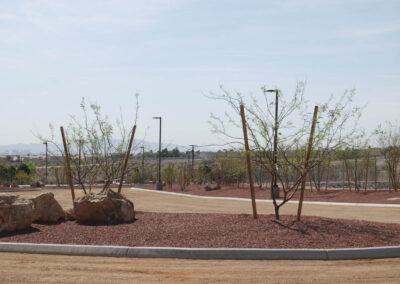 horse riding path with new landscaping completed by black canyon construction in las vegas nevada