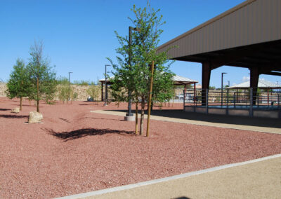 landscaping layout for natural drainage lone mountain park