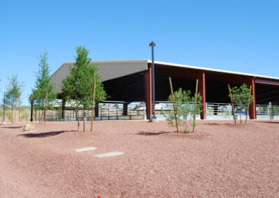 horse riding area from newly landscaped gardens Lone Mountain Equestrian Park