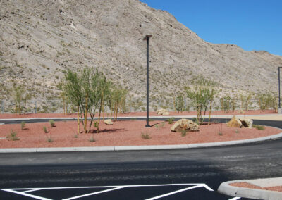 parking lot landscaping with decorative rock and new trees in Nevada mountains