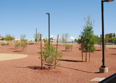 new trees and shrubs planted along path las vegas landscaping Lone Mountain Equestrian Park