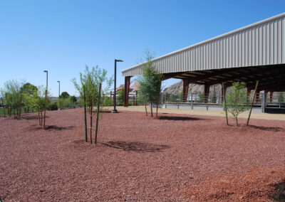 garden of new trees installed by black canyon construction at Lone Mountain Equestrian Park in las vegas