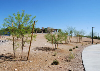 nursery trees and shrubs in desert landscape at long mountain equestrian park in nevada