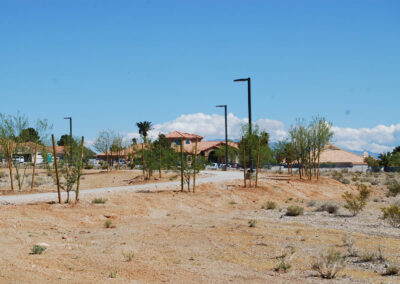 riding path in Nevada Lone Mountain Equestrian Park with newly installed trees