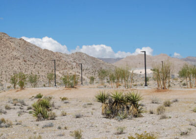 las vegas mountains from park with new nursey trees and shrubs