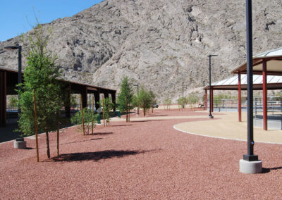 brand new tree landscaping services public park las vegas