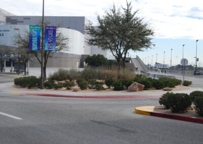 las vegas community college road landscaping