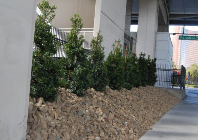 landscaping construction and drainage services in las vegas lvcc