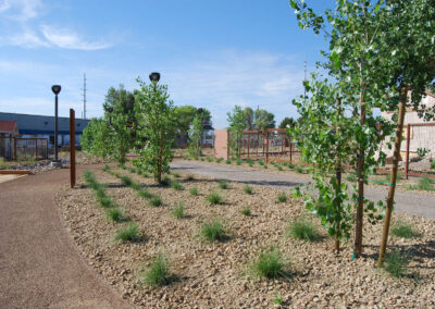 tree and shrub installed at kiel ranch historical site north las vegas