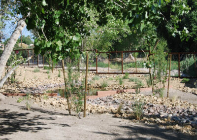 landscaping for new public parks in las vegas