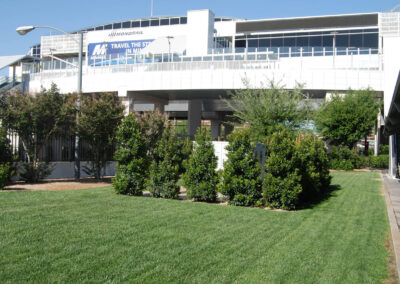 turf and new bushes installed at LVCC las vegas nevada