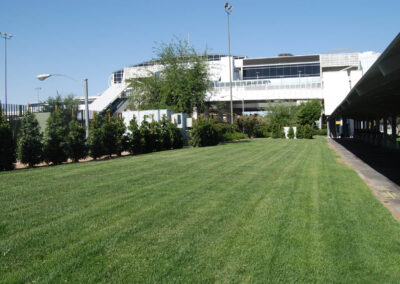 turfing for las vegas community college nevada