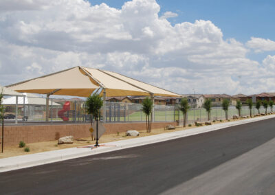 roadside tree landscaping las vegas nevada