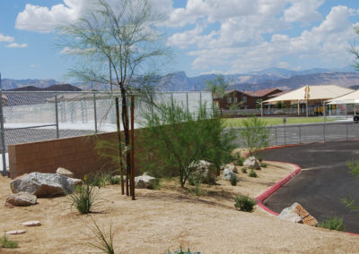 landscaping services for new Nevada schools las vegas