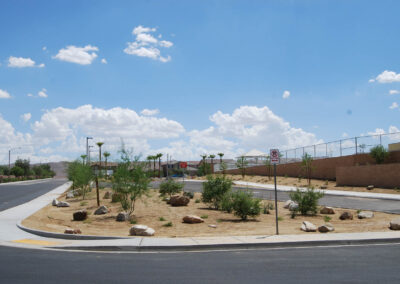 landscaping for new schools Blackhurst chartan las vegas nevada