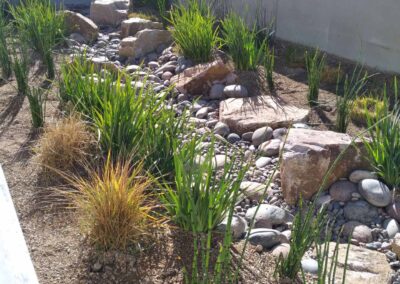 Garden and Rock Work SECTA High School Nevada