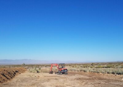 plant nursery installation las vegas Nevada roadside