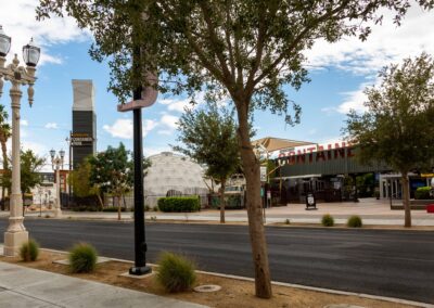 tree and shrub installation by container park las vegas Fremont street