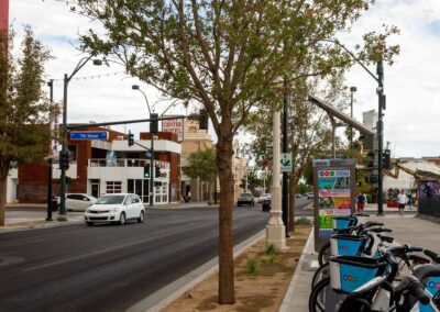 7th street of Fremont street las vegas new roadside landscaping