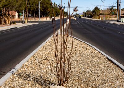 Decorative Metal String Plant Las Vegas W Lone Mountain Rd & N Fort Apache