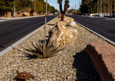 W Lone Mountain Rd & N Fort Apache Rd Las Vegas Decorative Metal Tortoise and Succulents