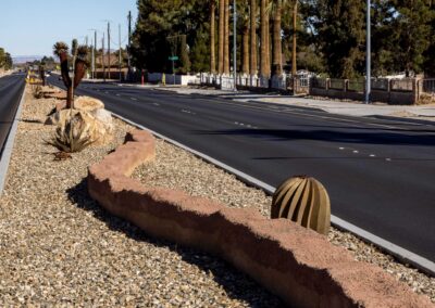 Decorative Metal Cactus and Tortoise at W Lone Mountain Rd & N Fort Apache Rd Nevada