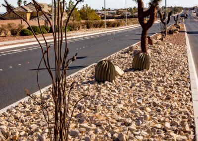 Las Vegas W Lone Mountain Rd & N Fort Apache Rd Decorative Metal Cactus and Plants