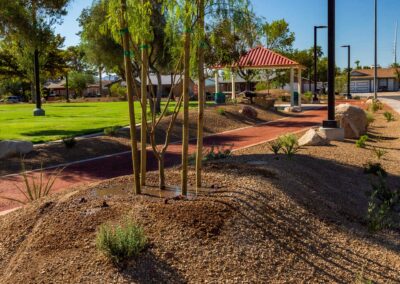 Sapling Paradise Vista Park Las Vegas