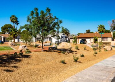 Newly Installed Trees and Bushes Paradise Vista Park Las Vegas