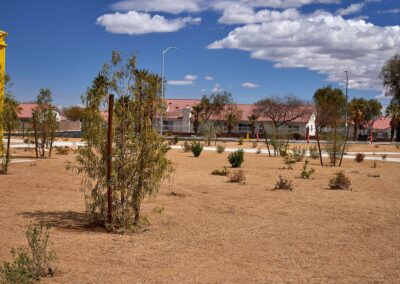 Nevada Echo Trail Park New Saplings Landscaping Services