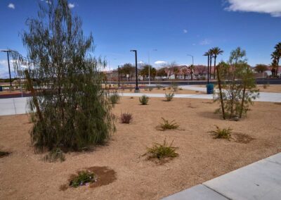 Echo Trail Park Nevada Tree Installation Landscaping