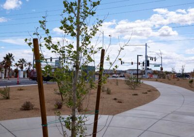 Sappling Installation in Echo Trail Park Nevada