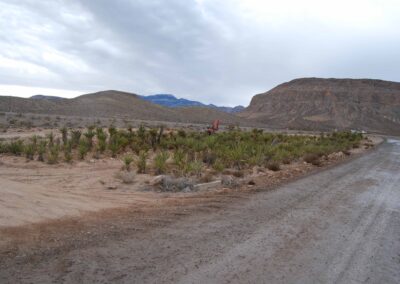 newly installed native vegetation desert las vegas nevada