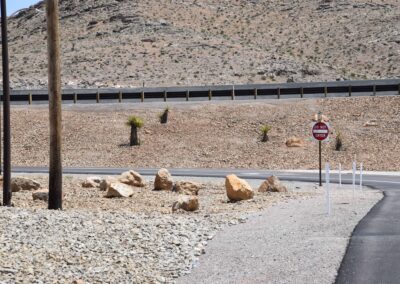 decorative rock installation with native Nevada plants in las vegas